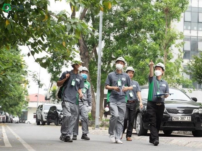 Cách đuổi gián hiệu quả 